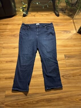 Lane Bryant Midnight Blue Straight-Leg Jeans